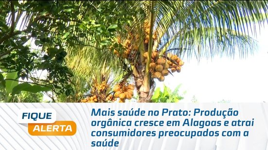 Produção orgânica cresce em Alagoas e atrai consumidores preocupados com a saúde