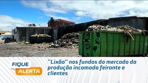 ''Lixão'' nos fundos do mercado da produção incomoda feirante e clientes