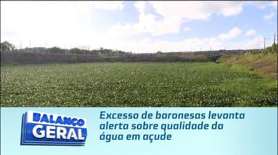 Excesso de baronesas levanta alerta sobre qualidade da água em açude