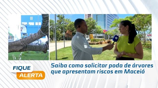 Saiba como solicitar poda de árvores que apresentam riscos em Maceió