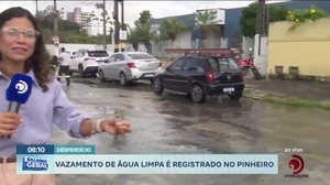 Vazamento de água limpa é registrado no pinheiro