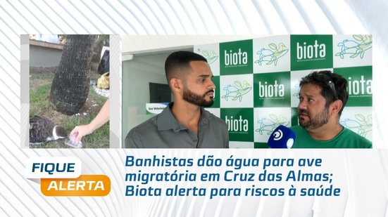 Banhistas dão água para ave migratória em Cruz das Almas; Biota alerta para riscos à saúde