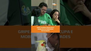 Doença em alerta: medidas contra gripe aviária são discutidas por órgãos locais #FiqueAlerta