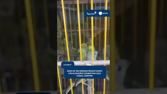 🚔Mais de 100 animais silvestres são resgatados em fiscalizações em Alagoas #CidadeAL