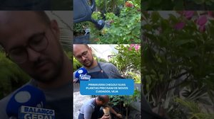 🌸Primavera chegou: veja como ajustar a rega e a adubação das plantas #BalançoGeralAL