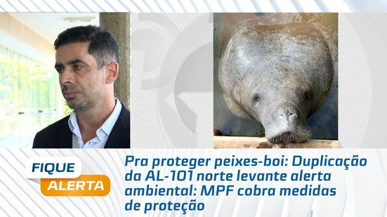 Duplicação da AL-101 norte levanta alerta ambiental: MPF cobra medidas de proteção