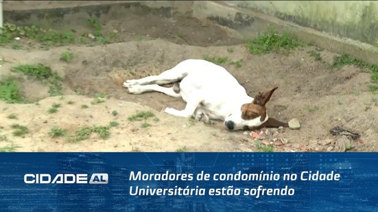 Moradores de condomínio no Cidade Universitária estão sofrendo com ataque de cães