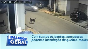 Com tantos acidentes, moradores pedem a instalação de quebra-molas