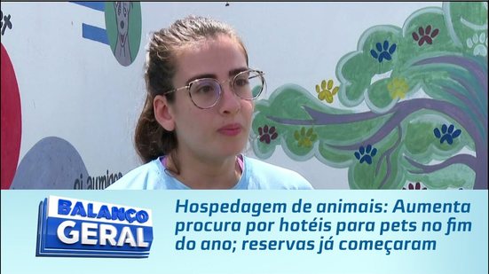 Hospedagem de animais: Aumenta procura por hotéis para pets no fim do ano; reservas já começaram