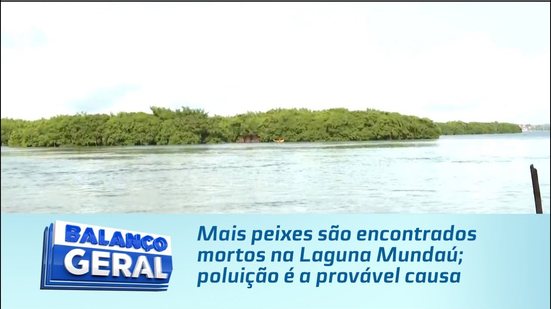 Mais peixes são encontrados mortos na Laguna Mundaú; poluição é a provável causa