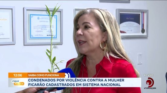 Condenados por violência contra a mulher ficarão cadastrados em sistema nacional