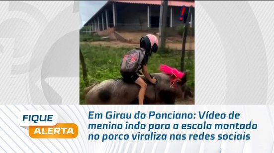 Em Girau do Ponciano: Vídeo de menino indo para a escola montado no porco viraliza nas redes sociais
