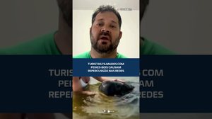 Vídeo com peixes-bois gera críticas e debate ambiental #CidadeAL