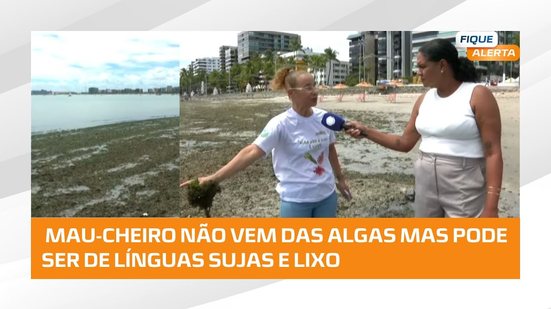 Bióloga explica aparecimento de algas nas praias de Maceió; vegetação não apresenta riscos
