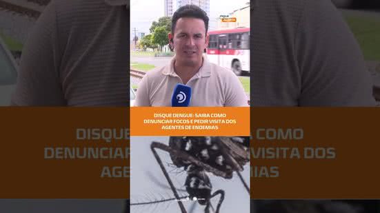 🚨 Disque Dengue: serviço permite denunciar focos do mosquito e solicitar vistoria | #FiqueAlerta
