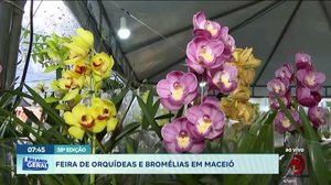 Feira de orquídeas e bromélias em Maceió