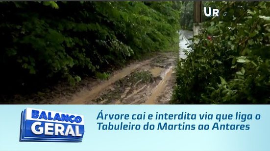 Árvore cai e interdita via que liga o Tabuleiro do Martins ao Antares