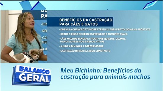 Meu Bichinho: Benefícios da castração para animais machos
