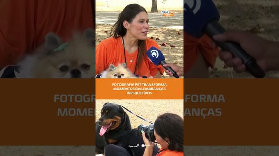 🐾 Fotografia pet transforma momentos em memórias inesquecíveis #FiqueAlerta