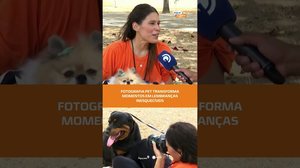 🐾 Fotografia pet transforma momentos em memórias inesquecíveis #FiqueAlerta