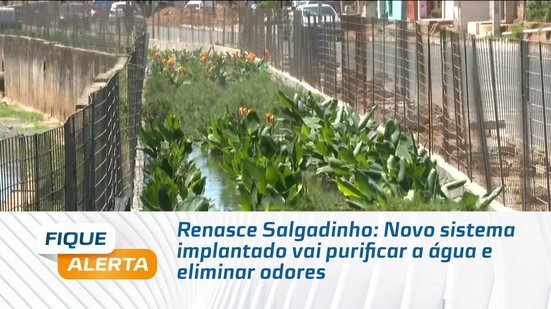 Renasce Salgadinho: Novo sistema implantado vai purificar a água e eliminar odores