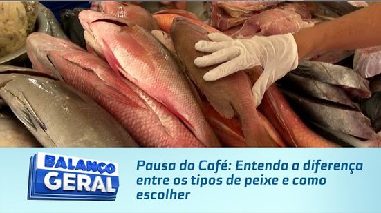 Pausa do Café: Entenda a diferença entre os tipos de peixe e como escolher