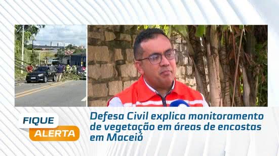 Defesa Civil explica monitoramento de vegetação em áreas de encostas em Maceió