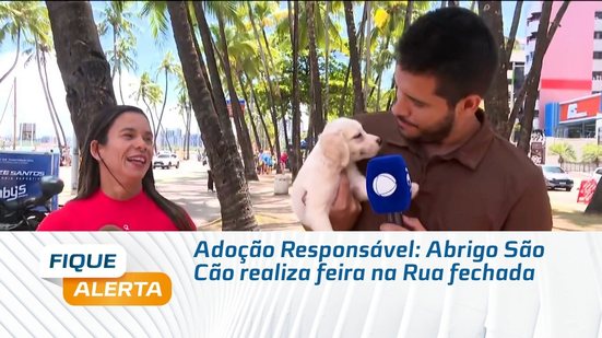 Adoção Responsável: Abrigo São Cão realiza feira na Rua fechada