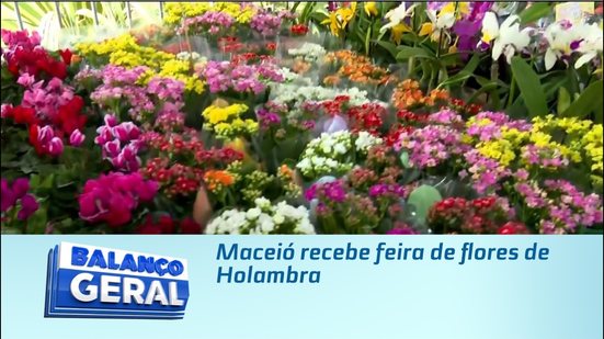 Maceió recebe feira de flores de Holambra