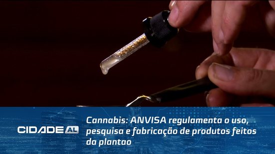 Cannabis: ANVISA regulamenta o uso, pesquisa e fabricação de produtos feitos da planta