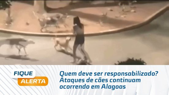 Quem deve ser responsabilizado? Ataques de cães continuam ocorrendo em Alagoas