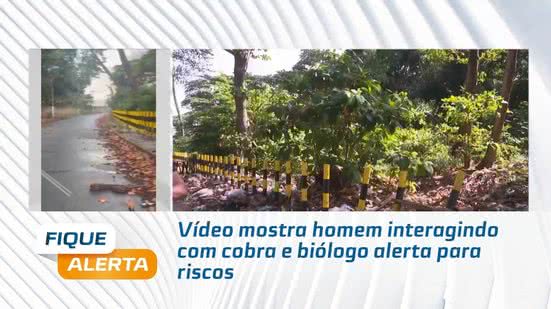 Vídeo mostra homem interagindo com cobra e biólogo alerta para riscos