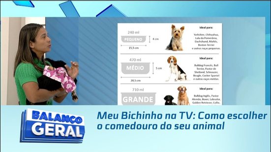 Meu Bichinho na TV: Como escolher o comedouro do seu animal