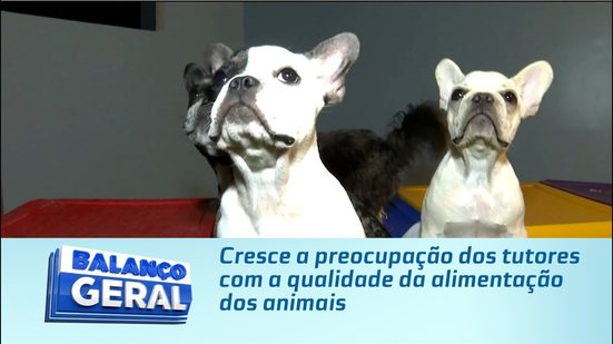 Cresce a preocupação dos tutores com a qualidade da alimentação dos animais