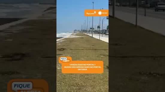 🌴 Mudas de coqueiros recém-plantadas são arrancadas no Pontal da Barra #FiqueAlerta