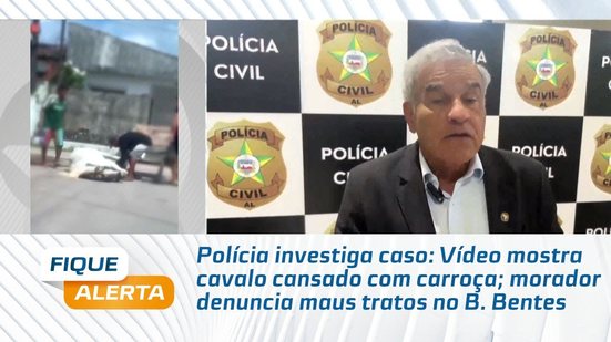 Vídeo mostra cavalo cansado com carroça; morador denuncia maus tratos no B. Bentes