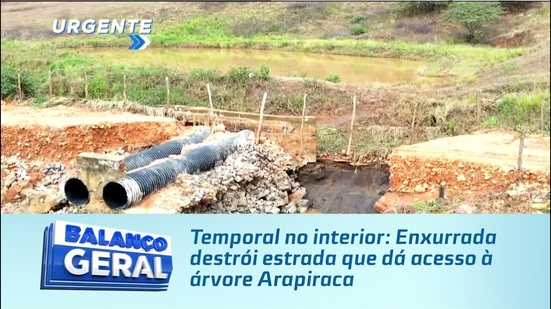 Temporal no interior: Enxurrada destrói estrada que dá acesso à árvore Arapiraca