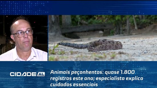 Animais peçonhentos: quase 1.800 registros este ano; especialista explica cuidados essenciais