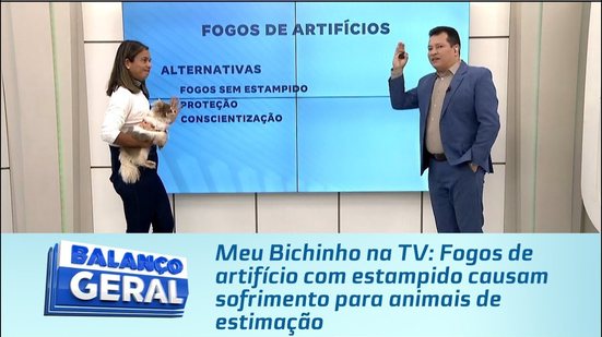 Meu Bichinho na TV: Fogos de artifício com estampido causam sofrimento para animais de estimação