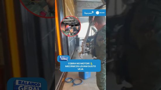 🐍Olha o susto! Cobra é encontrada dentro do motor de carro #BalançoGeralAL