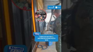 🐍Olha o susto! Cobra é encontrada dentro do motor de carro #BalançoGeralAL