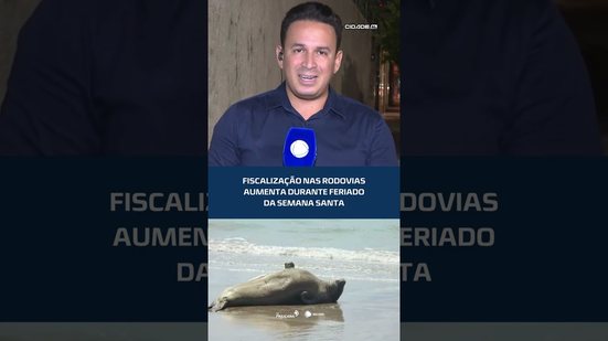 Polícia Federal vai investigar morte de elefante-marinho em AL