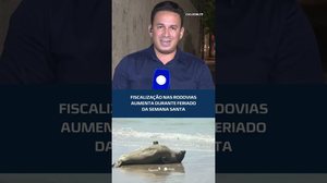 Polícia Federal vai investigar morte de elefante-marinho em AL