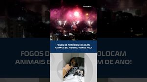 Lei vai proibir estampidos em Alagoas! #CidadeAL