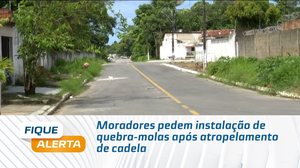 Moradores pedem instalação de quebra-molas após atropelamento de cadela