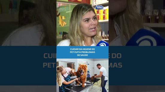 Higiene do pet: por que esse cuidado é essencial? #BalançoGeralAL
