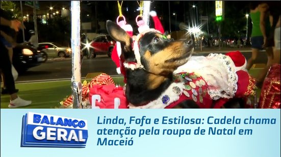 Linda, Fofa e Estilosa: Cadela chama atenção pela roupa de Natal em Maceió