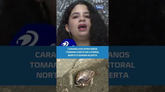🐌Moradores denunciam infestação de caramujos africanos entre Ipioca e Maragogi #BalançoGeralAL