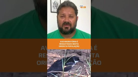 Ave migratória é resgatada em Alagoas e biota orienta população #FiqueAlerta