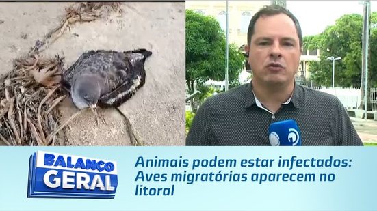 Animais podem estar infectados: Aves migratórias aparecem no litoral